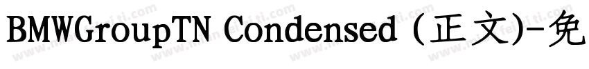 BMWGroupTN Condensed (正文)字体转换